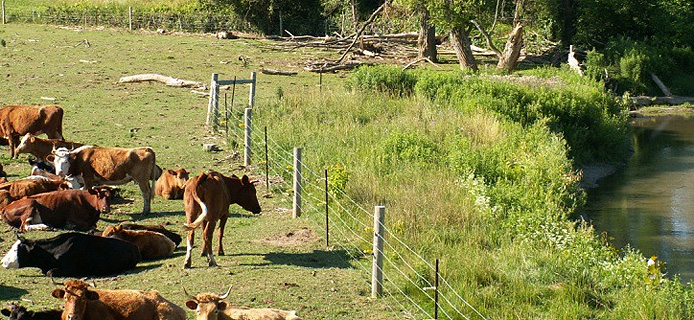 Agricultural Best Management Practices